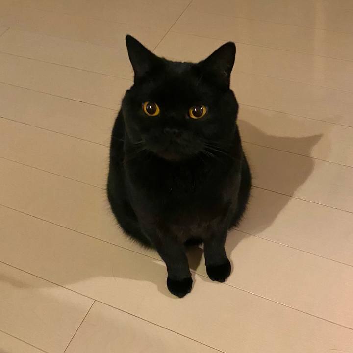 A8901e08 1e24 442e 9aed 2f7bfce18499 1616326525073