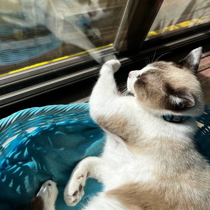 A8909922 ee2b 4ec2 97aa 3c296855d169 1766961343835