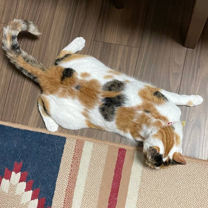 A890b4bf e942 4385 a702 5b4fa5782e2c 1627035017208