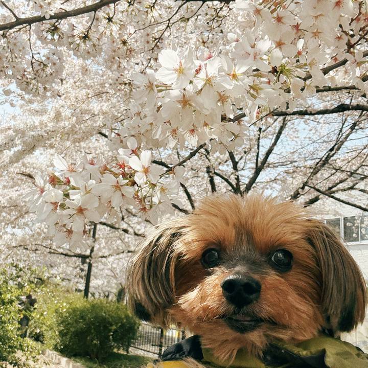 A890b59a 127d 4c94 8312 28d52304f685 1743318394776