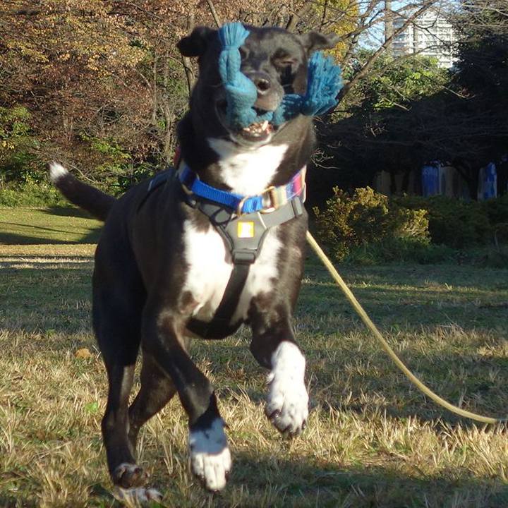 A890c695 7781 4025 bb3c 4fc3238ca52b 1637801761229