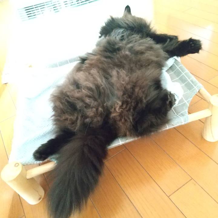 A89108b6 4b20 45d5 8b8b ae724888baa2 1701044975652