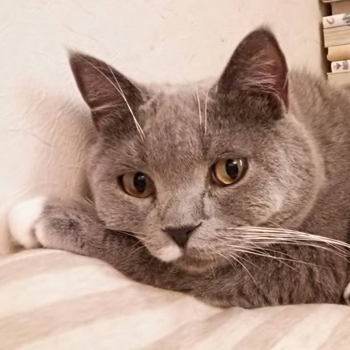 A891123d 2cc6 4462 9dbc a68bcd797506 1555219413499