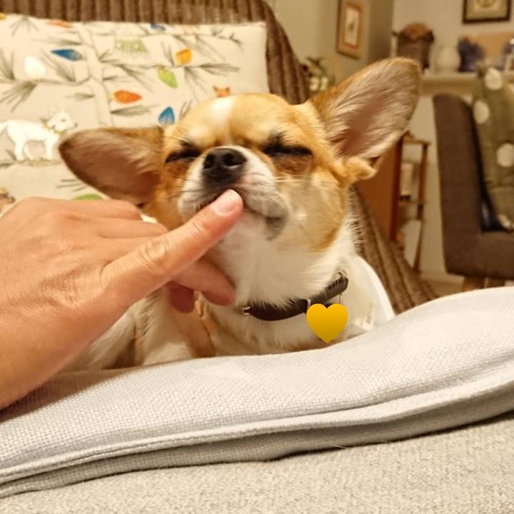 A89122a8 70e2 4578 a8ab df73289f79b5 1557580721349