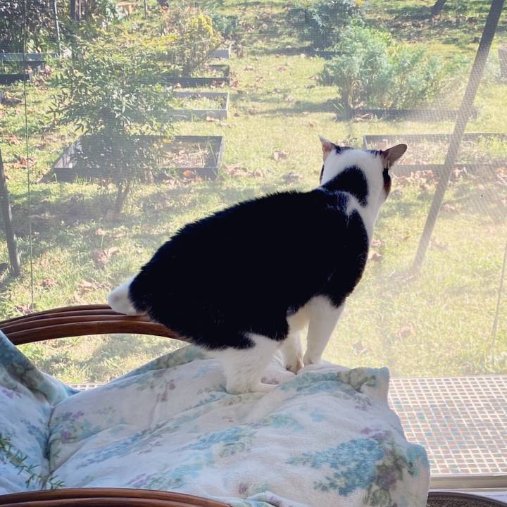 A8913842 9257 436b 8aaa aecffb345be9 1604114429367