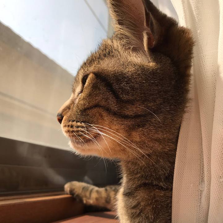 A8914fdc db55 497e 9f87 f49a2125375f 1523927604793