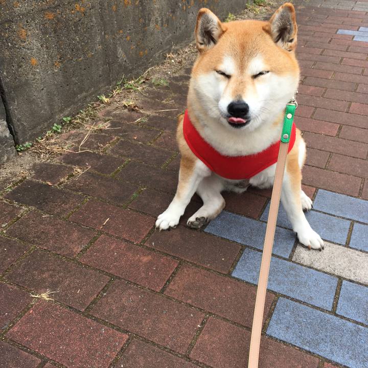 A8918402 caf3 4e44 9aa9 bf65abdb4461 1605157144602