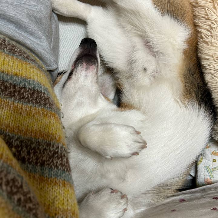 A891bd55 3ced 4cf7 9ea1 f18d6066d2ff 1770431992582