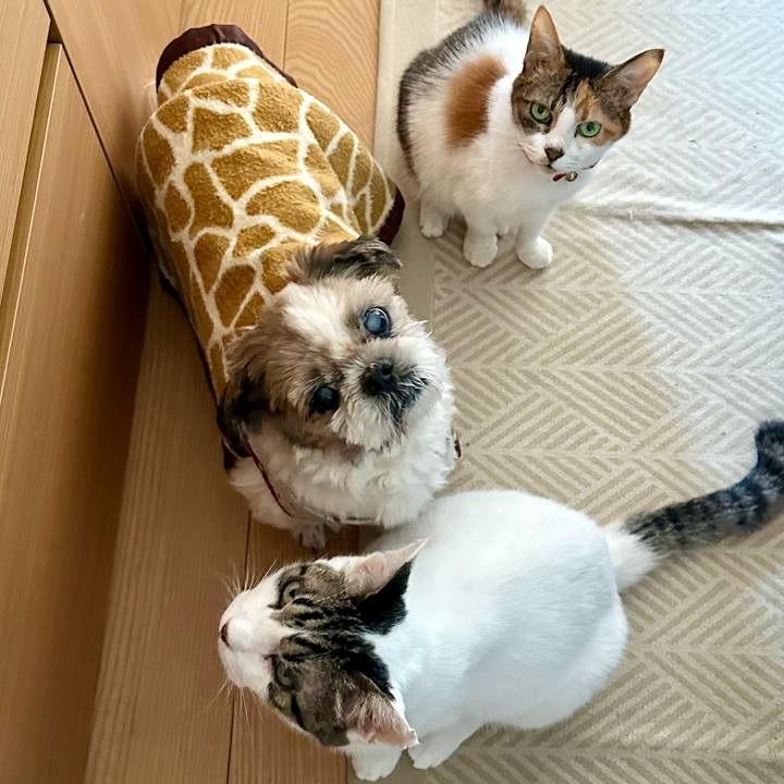 A891c336 ed98 4a2a 9a89 52ec5d2a5e69 1697079913786