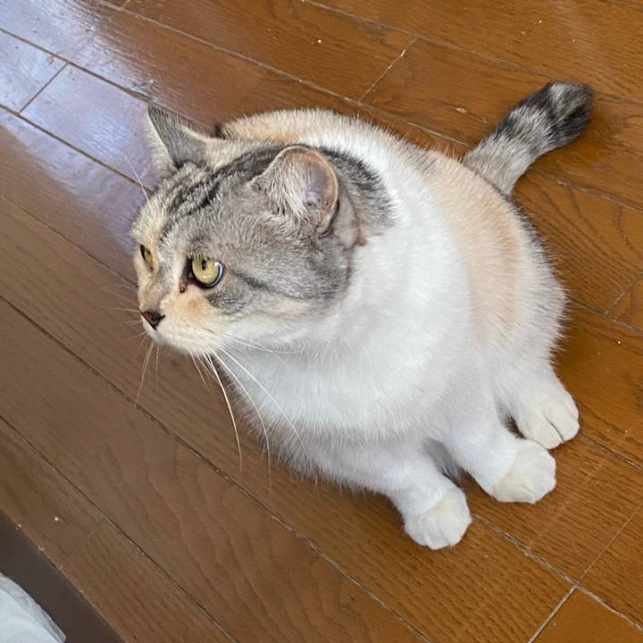 A891c9a8 527a 4594 a0c5 86d67559c7de 1638666034990