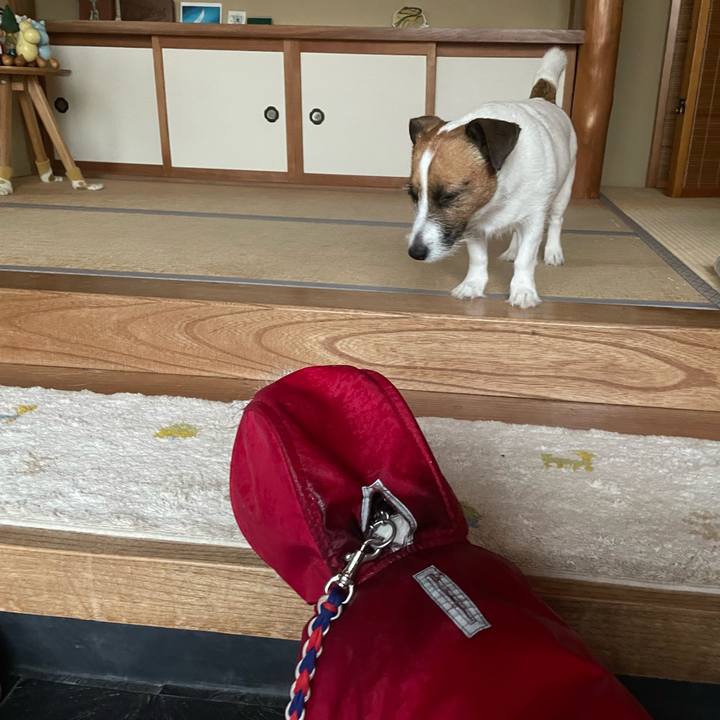 A8920c6d 9995 404a a671 f337ff2c8c2d 1726958540516