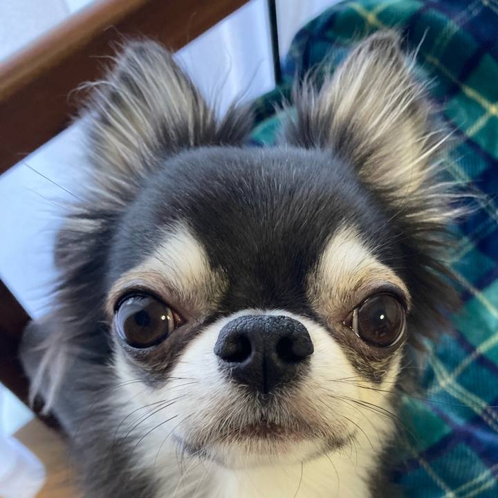 A8921527 10f7 4bcf 9d0e fd1ee3a4701f 1642203400173