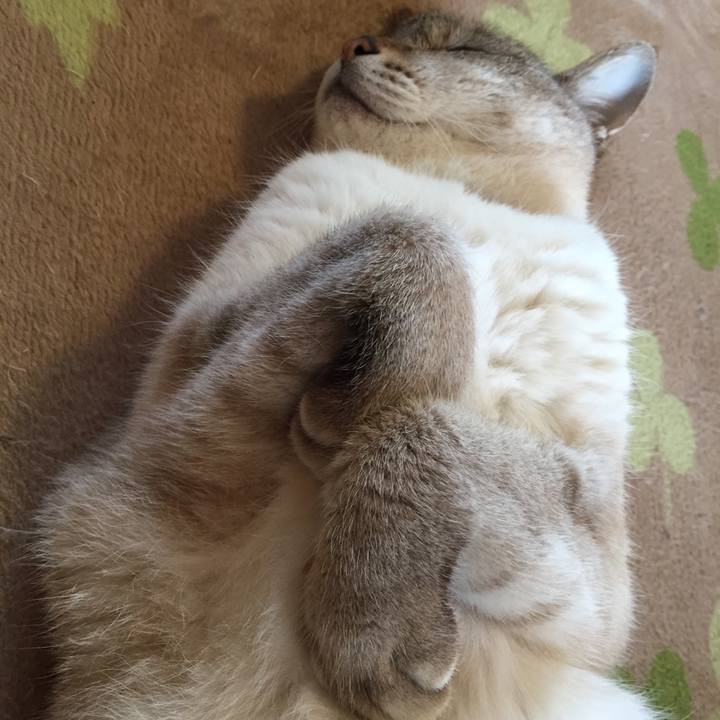 A8922dcf 64b5 4348 9f00 ee76a688bd82 1526253634329