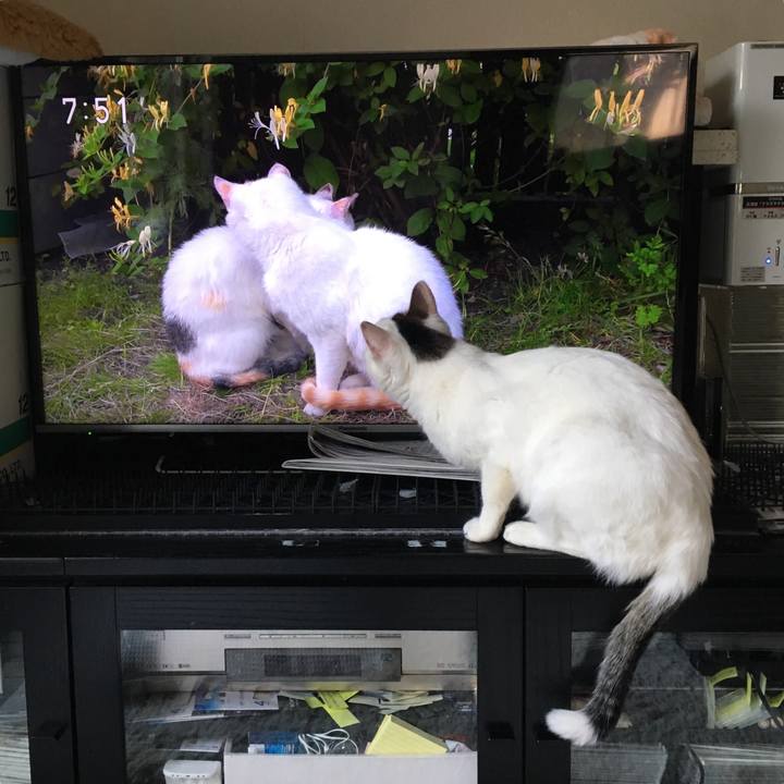 A8928722 3936 422c bd29 78360d5d14b6 1517967604550