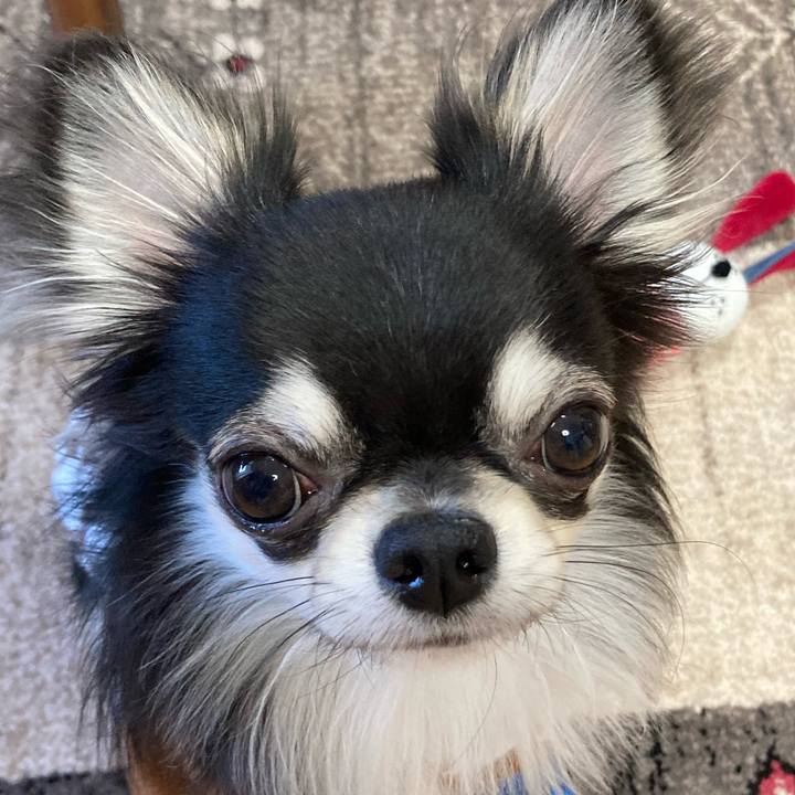 A892d82b a36d 4c94 b67b 7b8f559dc1ea 1612998258421