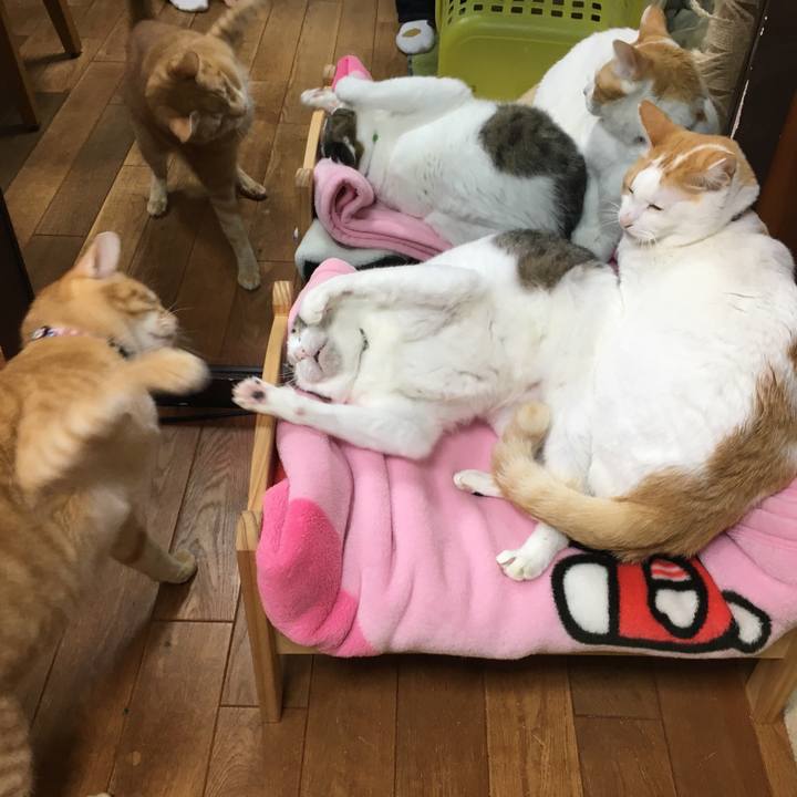 A892d95e 1329 44a5 82cd 45138ab6710c 1549718020714