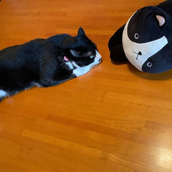 A892dff8 3bf8 4ad3 8d9c 33f89ba9f456 1689641778750