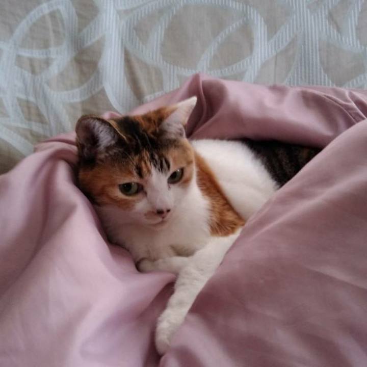 A892e35f 7f7a 4a11 90d4 5a2ed14b6bee 1543632505521