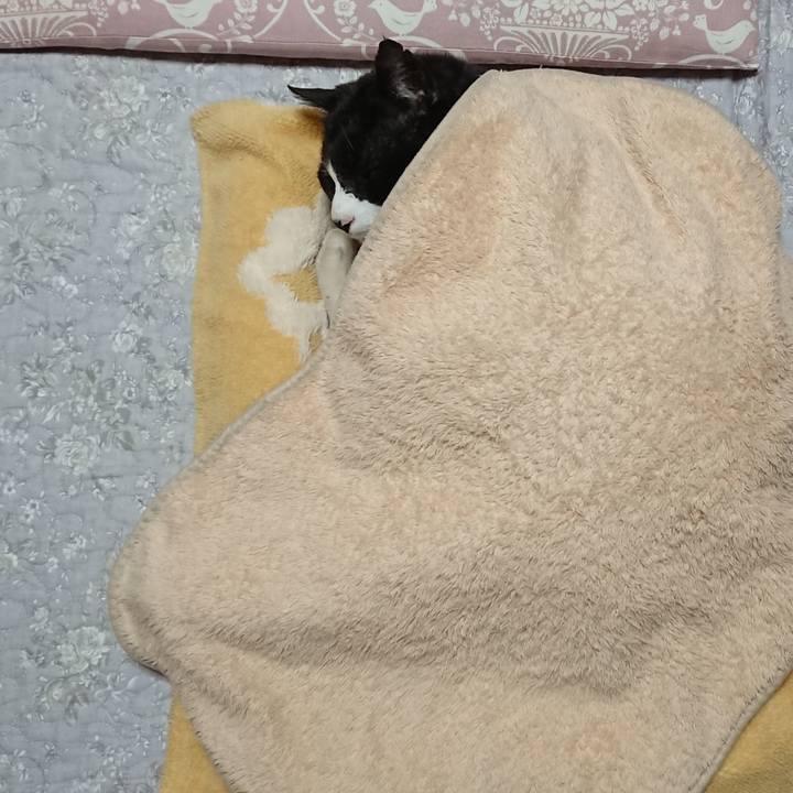 A892e86e 2f0f 46a1 a50f 8b09936cbd0d 1651143046215