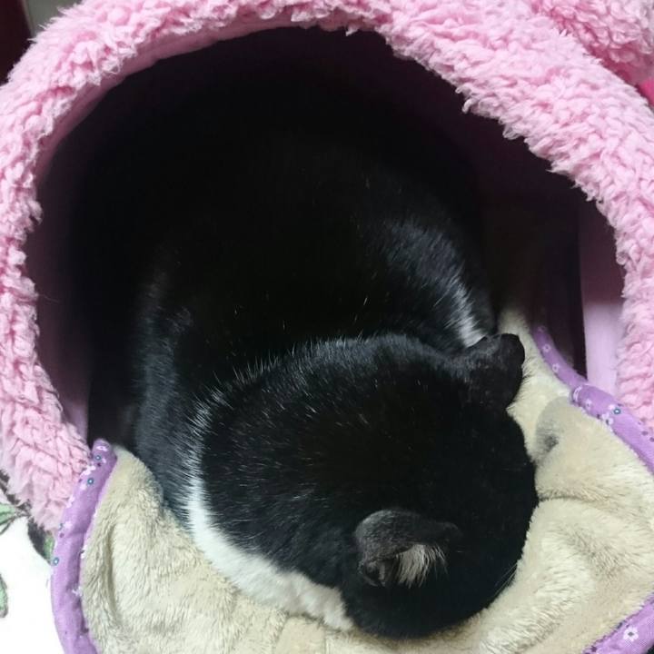 A89311ef 908d 444f 819d 7757bfd61c30 1512473179390