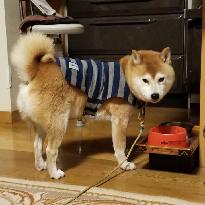 A8933c22 19a8 489e b598 19ce340483ac 1578145730264