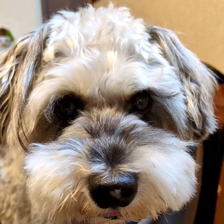 A8933ed0 7414 4976 8834 7c4624876362 1758973946163