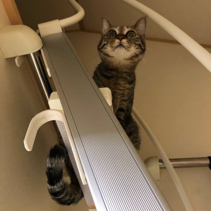 A8935a62 3b12 4795 95c7 db503b094b87 1527509215088