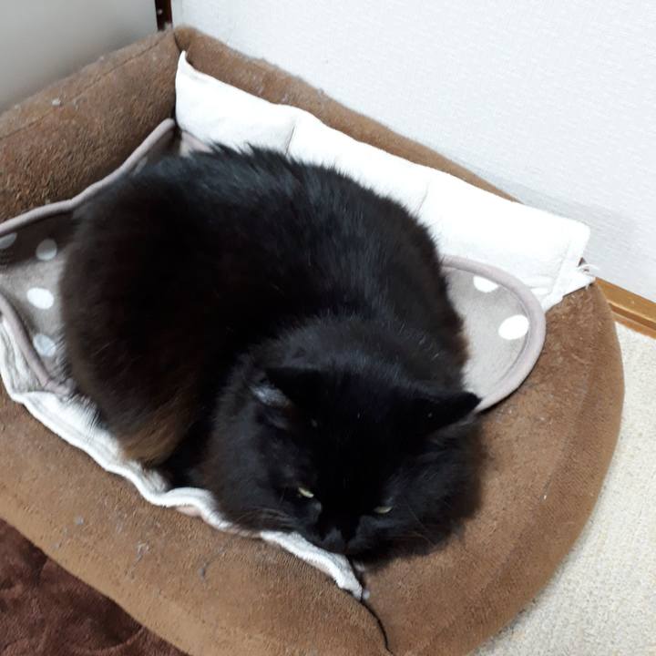 A8945465 350d 4142 9ca3 f3ae01db4f87 1516775525241