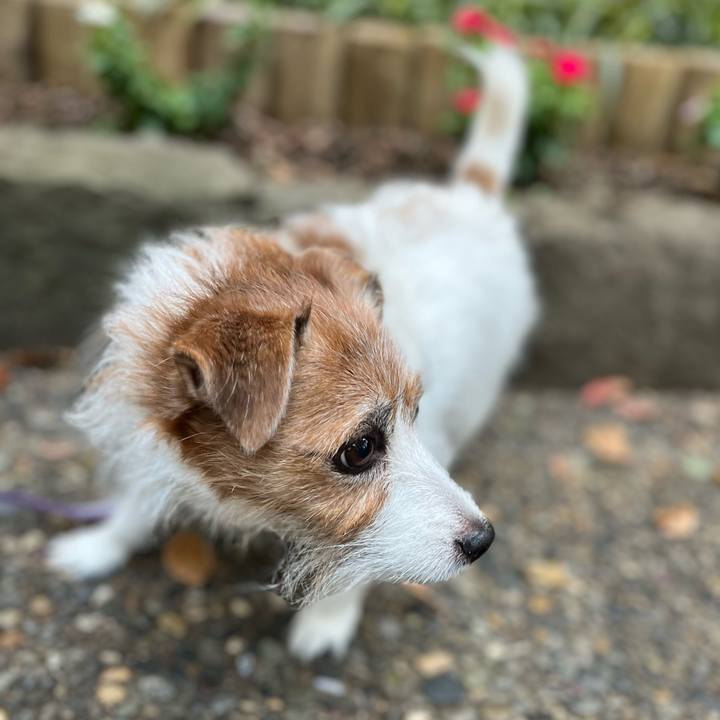 A89464c0 d928 47b3 84d2 b07079072f19 1698963312345