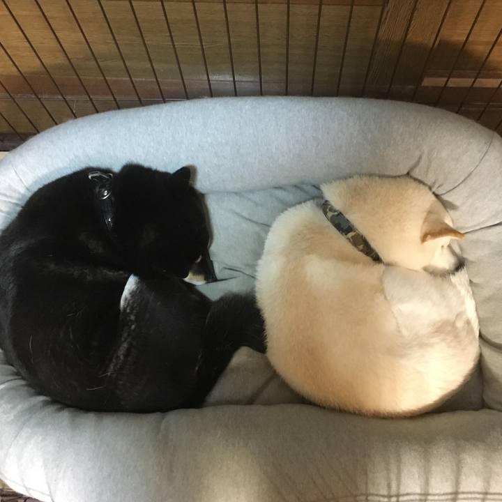 A89470d8 5ecd 4dfc 9abe a7c47da84375 1517888571413