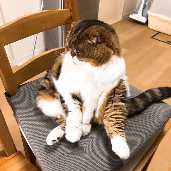 A8949649 cc1c 49e9 bf81 ced2fdba60f7 1548427477877