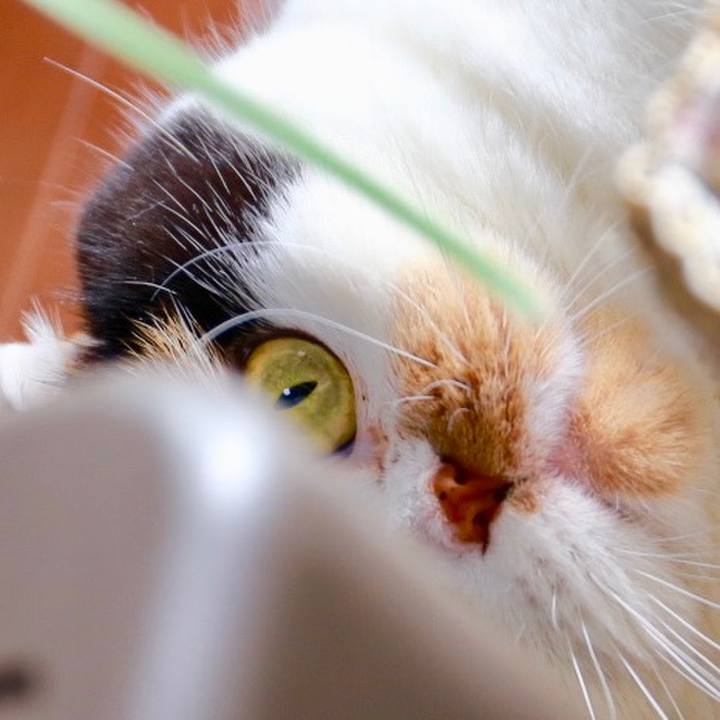 A8949c73 716f 4de9 a100 234b22a4ca96 1566864305131