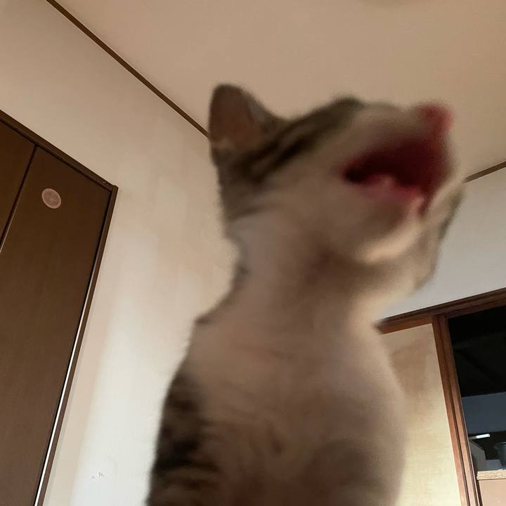 A894cd2c 0466 48e2 9f4d b2827453aa8a 1722720102498