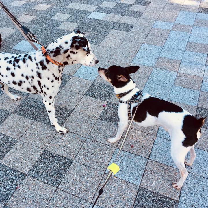 A8952136 b7e5 4270 8494 5e9368783c9b 1588558279803