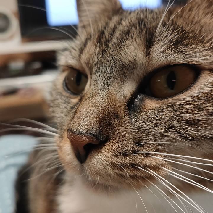 A89534ef f84a 4b3b ba8e ce3962391d9d 1665516772758