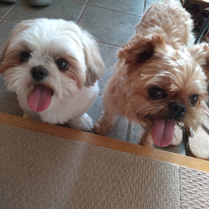 A89537fb fb02 4a35 aefe 66641f6444ae 1628549085783