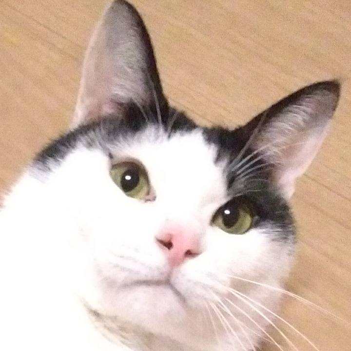 A8953a91 3d77 4184 ae24 4b988ad8b50d 1518173058334