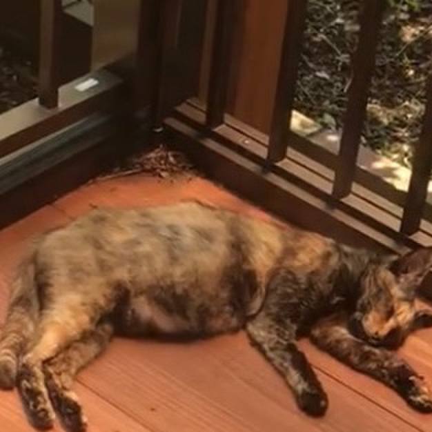 A895871e 7134 42d1 9c78 c02e5291cbf4 1766003451668