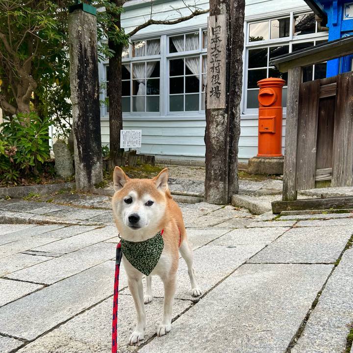 A8958a07 ab05 49a2 b1a7 74f5ea51ef14 1700049378198