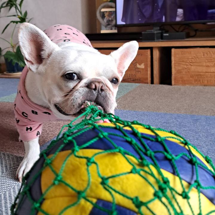 A895afa2 4fba 49e2 8a2a b3fe0abbff39 1709712321148