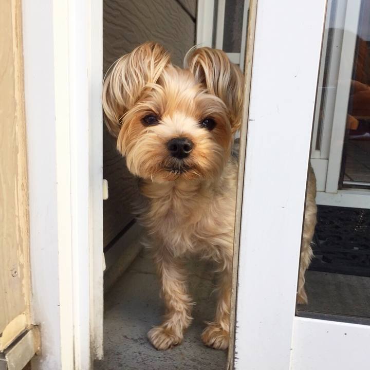 A895ca6f 8c2b 4d48 a4d9 d247937625f7 1526429736630