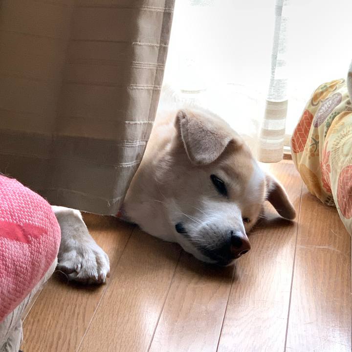 A895d0c6 ae35 45e6 a846 a3e63a0bc6bc 1660259004239