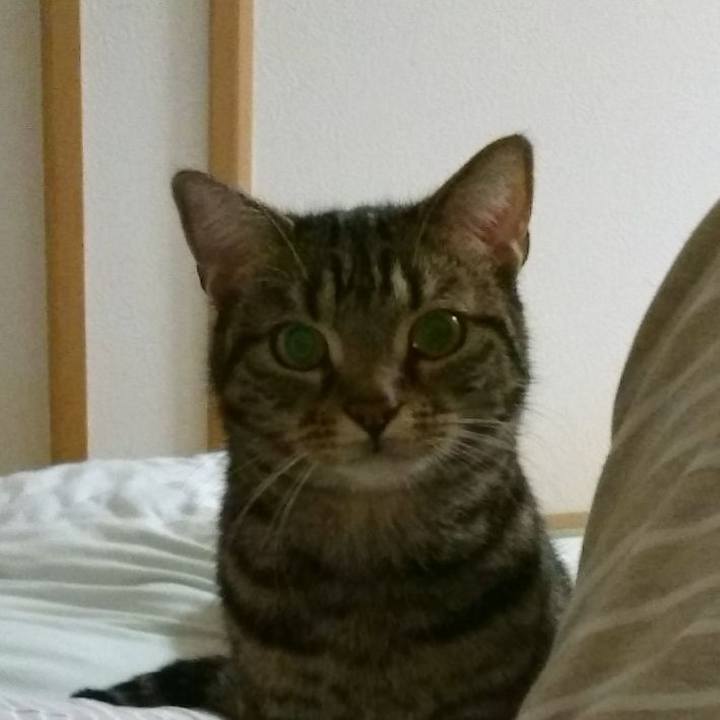 A895e26d 151d 4b2e 9a3d 664a48f46029 1521633213603