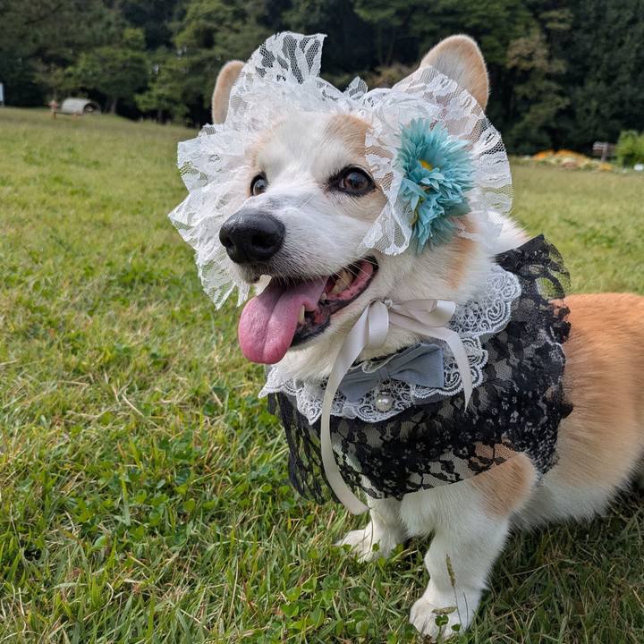 A8960e68 705c 49f9 b224 68843a199698 1761885034708