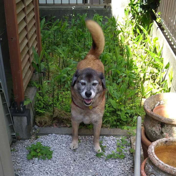 A89686bf ecda 451e 9a2e ac3579f3f821 1558053368359