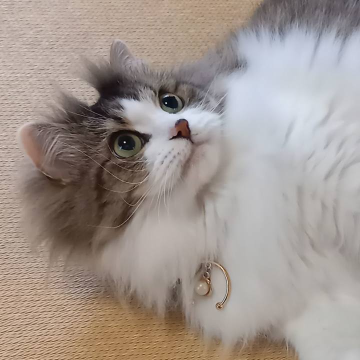 A8970489 6ad5 4a82 9cea a925d6e92577 1653139342646