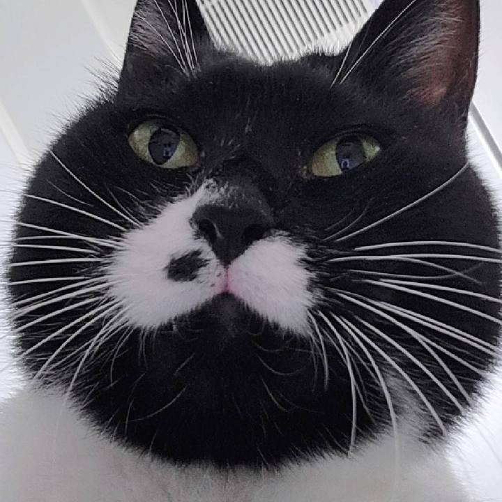 A8970c38 7ffa 43ac a07d 92a8db30ba4b 1669562972143