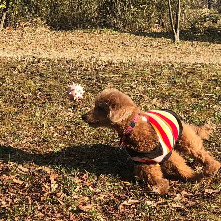 A8970e0c 6006 4b7c 9a71 ba0ab0f86d5f 1585454233303