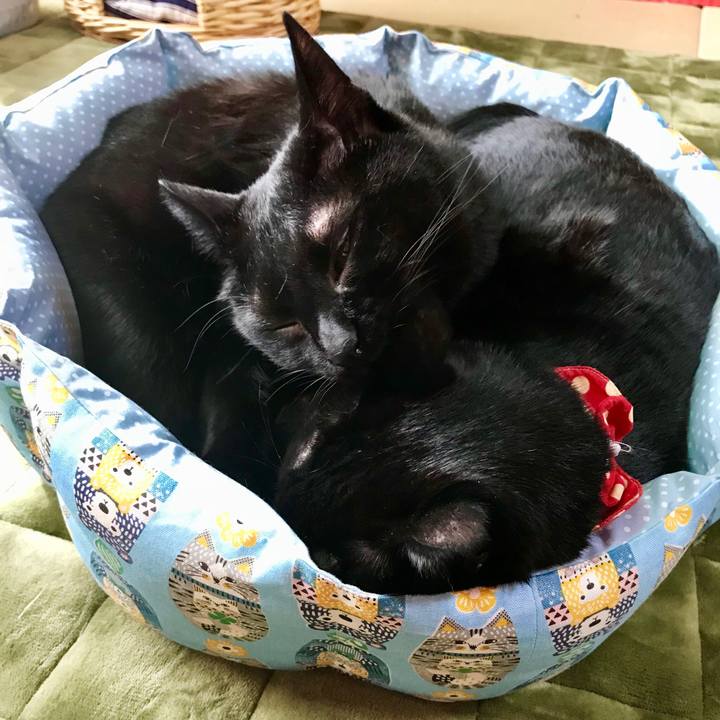 A89737fb a93d 4d72 b1e3 213be43dc789 1509337295715