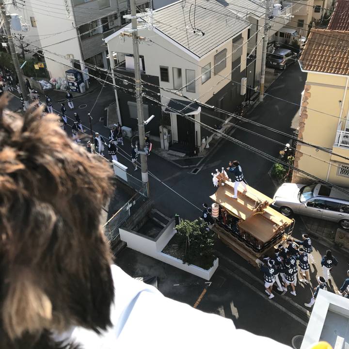 A8973bb3 3f08 4e84 b736 ac82f563bb71 1540099952944